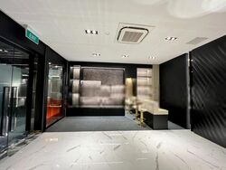 Onze @ Tanjong Pagar (D2), Shop House #452459411